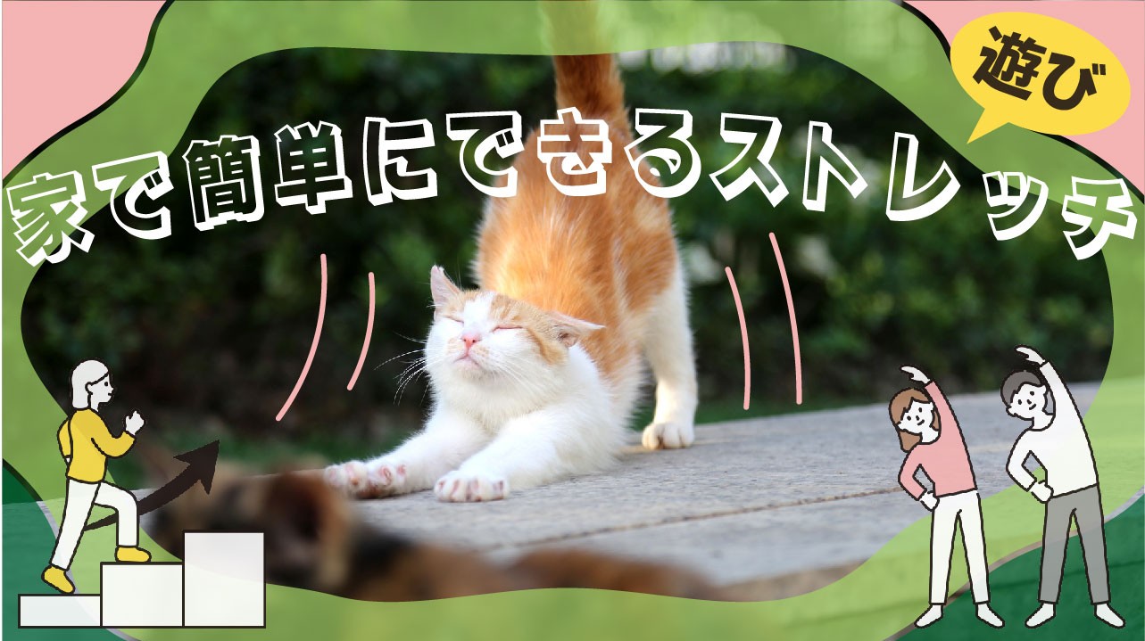  【ゴールデンウィーク】簡単に出来る遊びやストレッチでリフレッシュしよう 