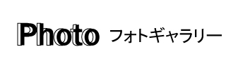 フォトギャラリー